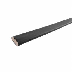 BDSM Cane