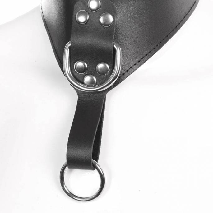 HALSBAND AUS SCHWARZEM LEDER MIT ZWEI RINGEN