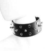 LEDERHALSBAND MIT VORHÄNGESCHLOSS + NÄGEL