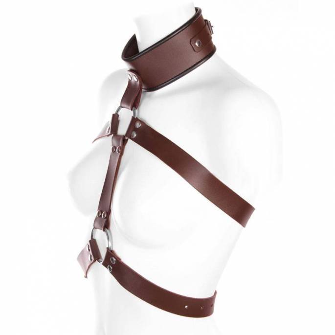 HARNAIS POITRINE BANDES CUIR MARRON