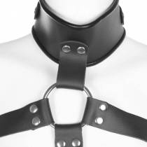 CHEST HARNESS WITH BLACK LEATHER BANDS