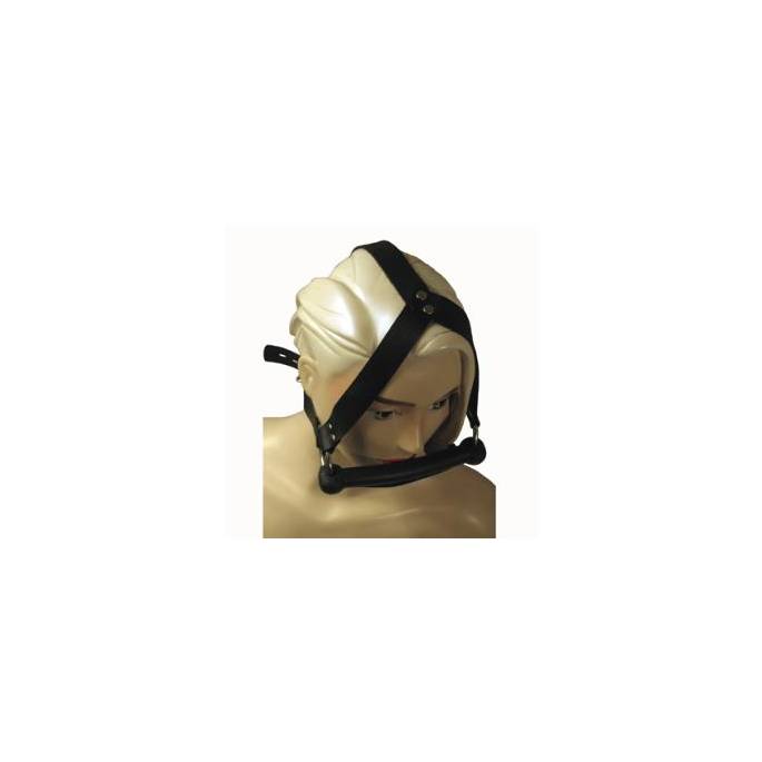 GAG BIT HARNESS
