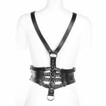 HARNAIS Y + 4 SANGLES DE TAILLE