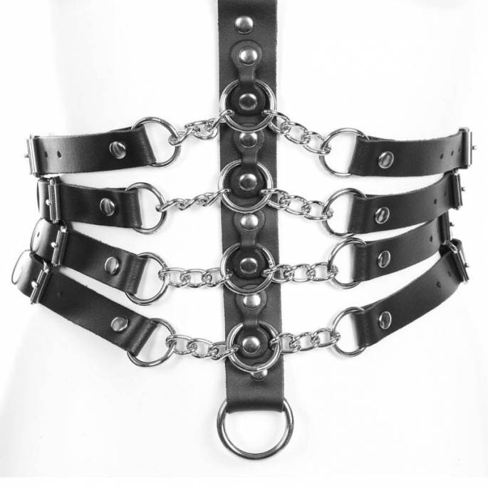 HARNAIS Y + 4 SANGLES DE TAILLE