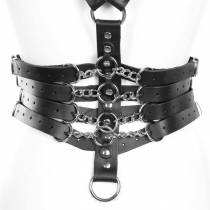 HARNAIS Y + 4 SANGLES DE TAILLE