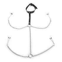 COLLIER + CHAINES + PINCES SEINS / SEXE