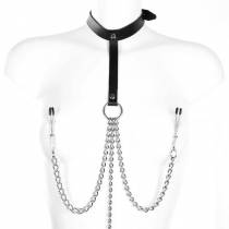 COLLIER + CHAINES + PINCES SEINS / SEXE