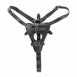 Harnesses
