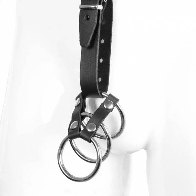 HARNAIS BUSTE CUIR + COCKRINGS