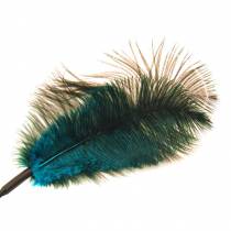 TURQUOISE FEATHER