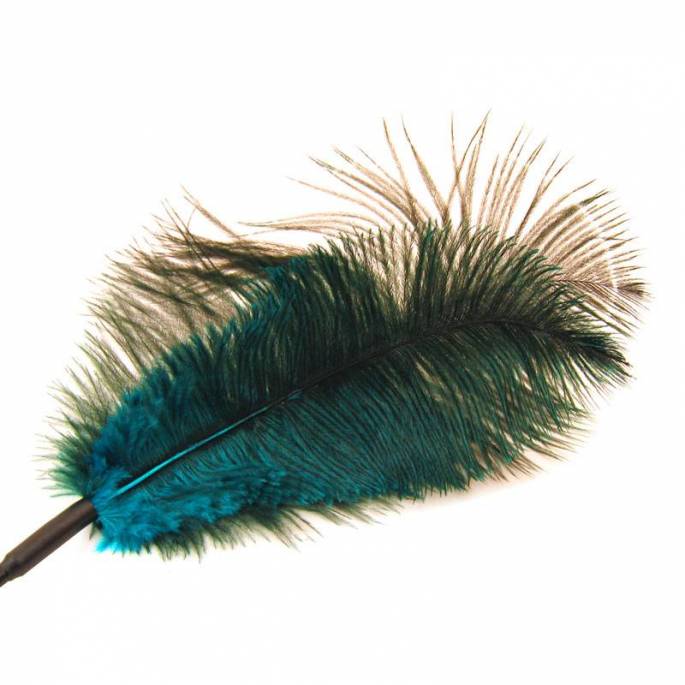 PLUME TURQUOISE