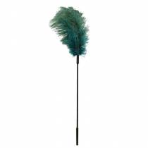 PLUME TURQUOISE