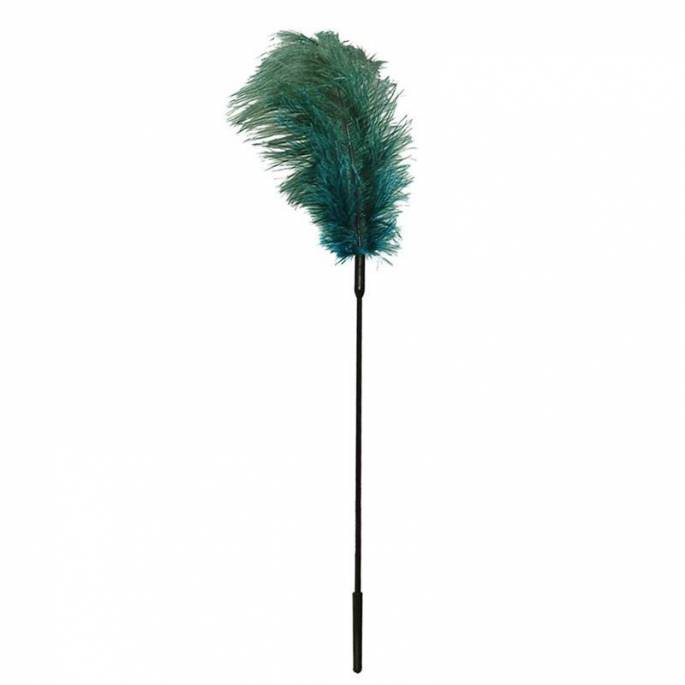 TURQUOISE FEATHER