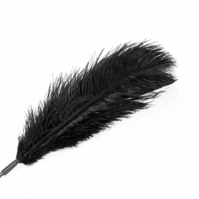 PLUME NOIRE