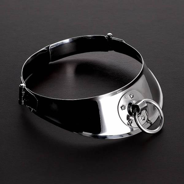 STAINLESS STEEL SLAVE COLLAR (D:12CM)