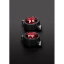 PINCES A SEINS MAGNETIQUE + SWAROVSKI ROUGE