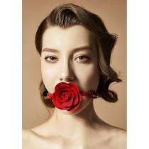 ROSE - BAILLON BOULE - SILICONE