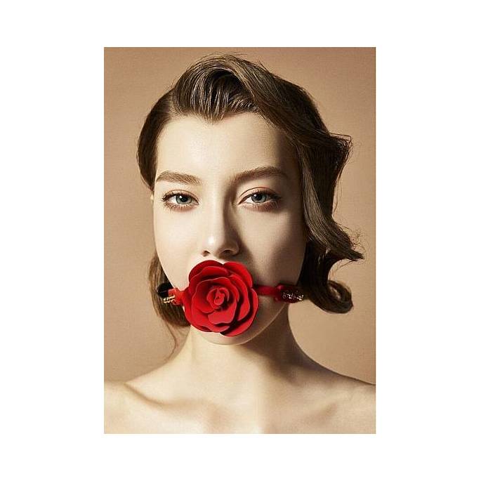 ROSE - BAILLON BOULE - SILICONE