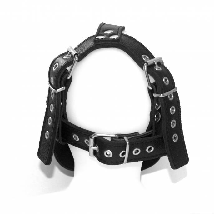 MASQUE HARNAIS VISAGE COMPLET