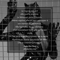 Atelier d’écriture : Jeux de plumes