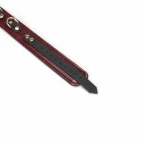 COLLIER + LAISSE CUIR "RED WINE"