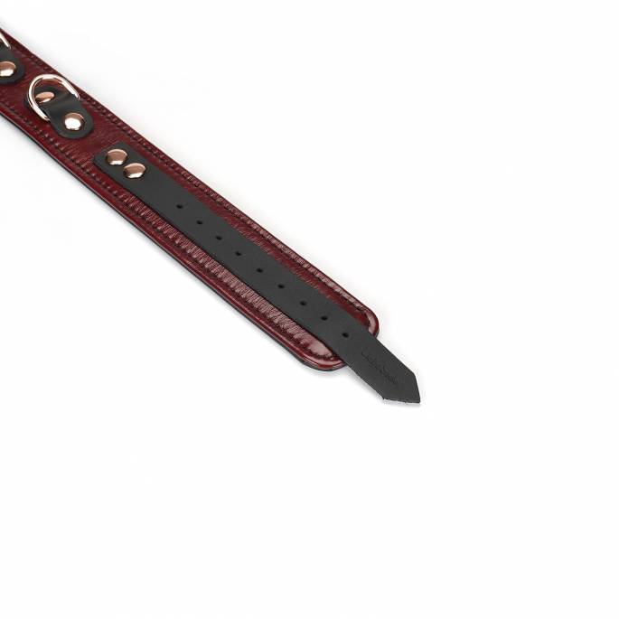 COLLIER + LAISSE CUIR "RED WINE"