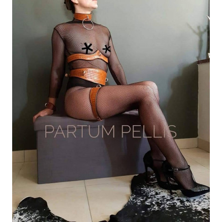 Chesterfield Taillenklemme