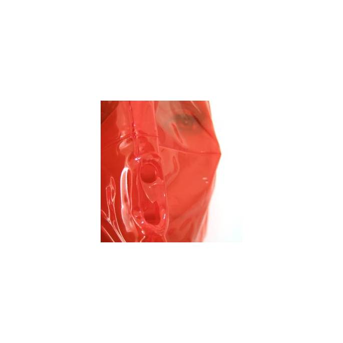 TRANSPARENT RED PLASTIC HOOD