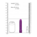 KLEINES VIBRIERENDES SPIELZEUG VIOLETT BIOLOGISCH ABBAUBAR