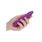 KLEINES VIBRIERENDES SPIELZEUG VIOLETT BIOLOGISCH ABBAUBAR