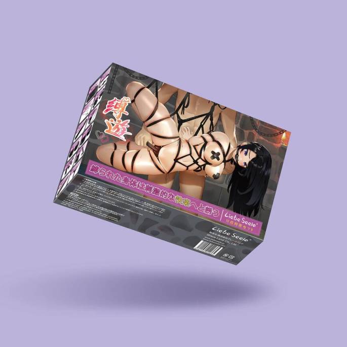 KIT BONDAGE SM DÉBUTANTS NOIR 12PCS