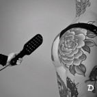 PADDLE FÜR ELEKTROSTIMULATION