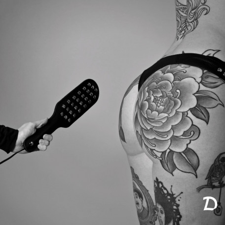 PADDLE FÜR ELEKTROSTIMULATION