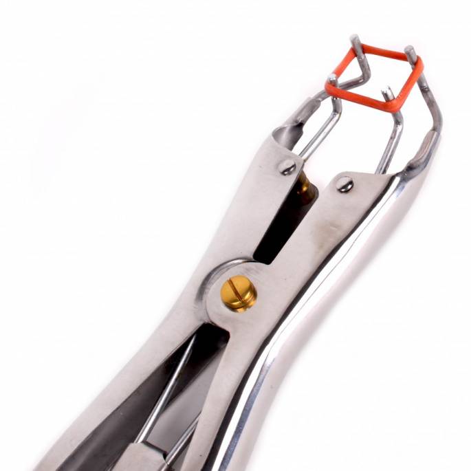 PINCE POUR ÉLASTIQUES DE TORTURE + ÉLASTIQUES