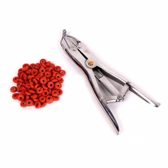 ZANGE FÜR FOLTERGUMMIS + GUMMIBÄNDER