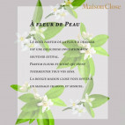 MASSAGEKERZE ORANGENBLÜTE