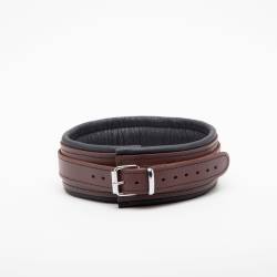 D&egrave;mon&iacute;a Basic