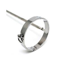 STAHLHALSBAND MIT ANALHAKEN