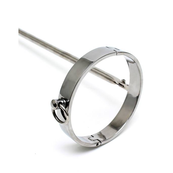 STAHLHALSBAND MIT ANALHAKEN