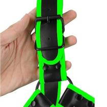 NEONFARBENES BULLDOGGENGESCHIRR