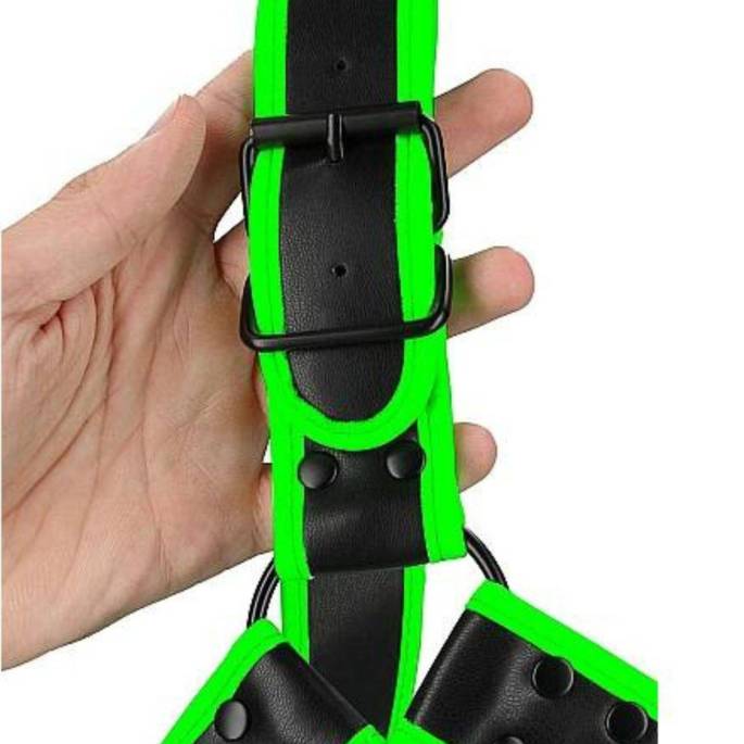 NEONFARBENES BULLDOGGENGESCHIRR