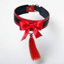 COLLIER PAMPILLE ROUGE