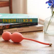 GEISHA-KUGELN BLOOM WE-VIBE