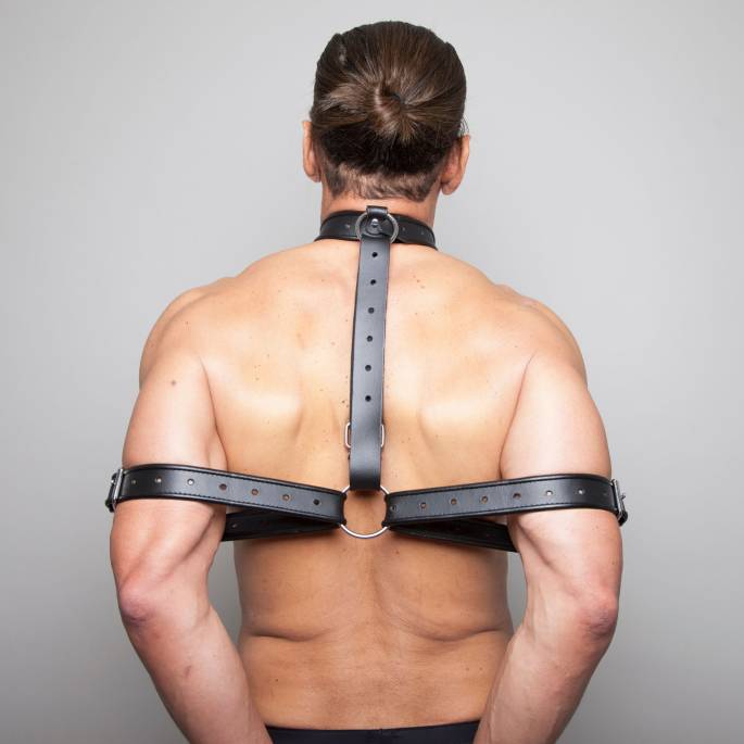 RESTRAINT HARNESS