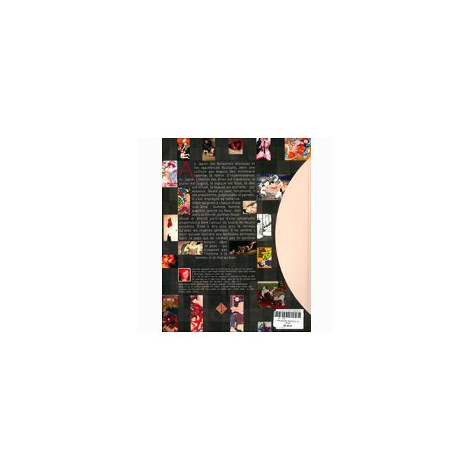 L'IMAGINAIRE EROTIQUE AU JAPON