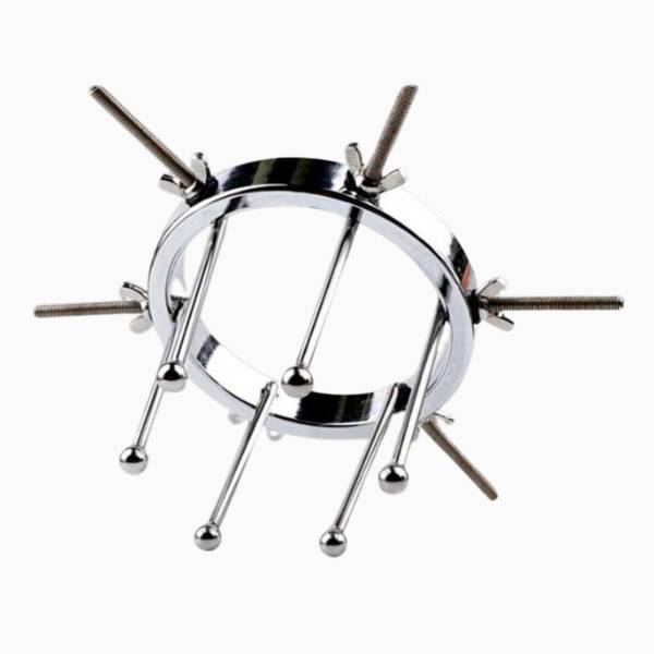 Speculum Fist Dilatation