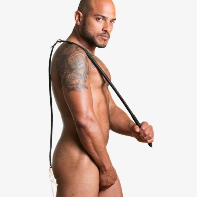 UNGARISCHE DRESSURPEITSCHE