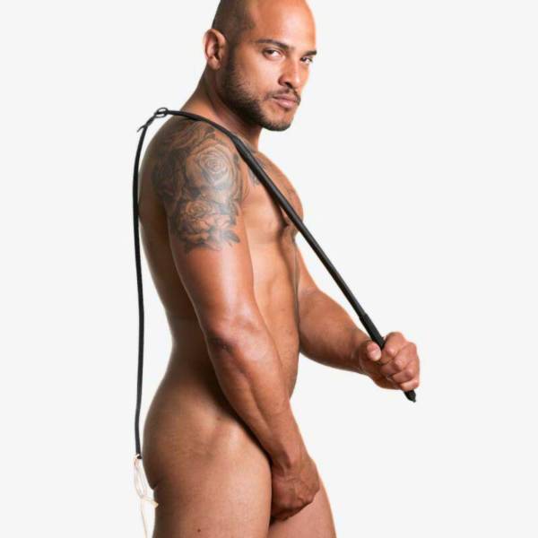 Ungarische Dressurpeitsche