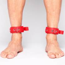 SET DEMONIA FIN BASIC ROUGE