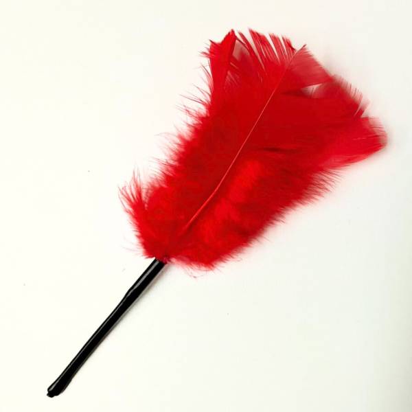 Petite plume rouge